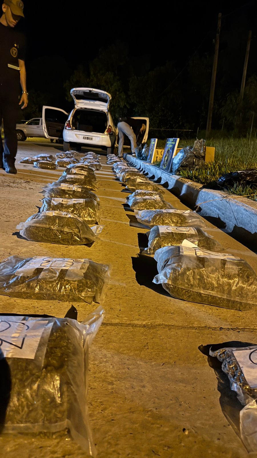 La Leonesa: detuvieron a un conductor con 53 kilos de Marihuana ...